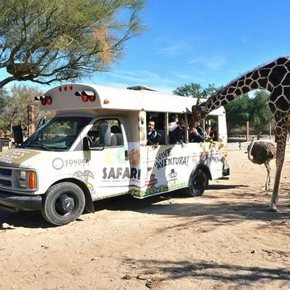Visitar el Centro Ecológico – SONORA, PARQUES RECREATIVOS
